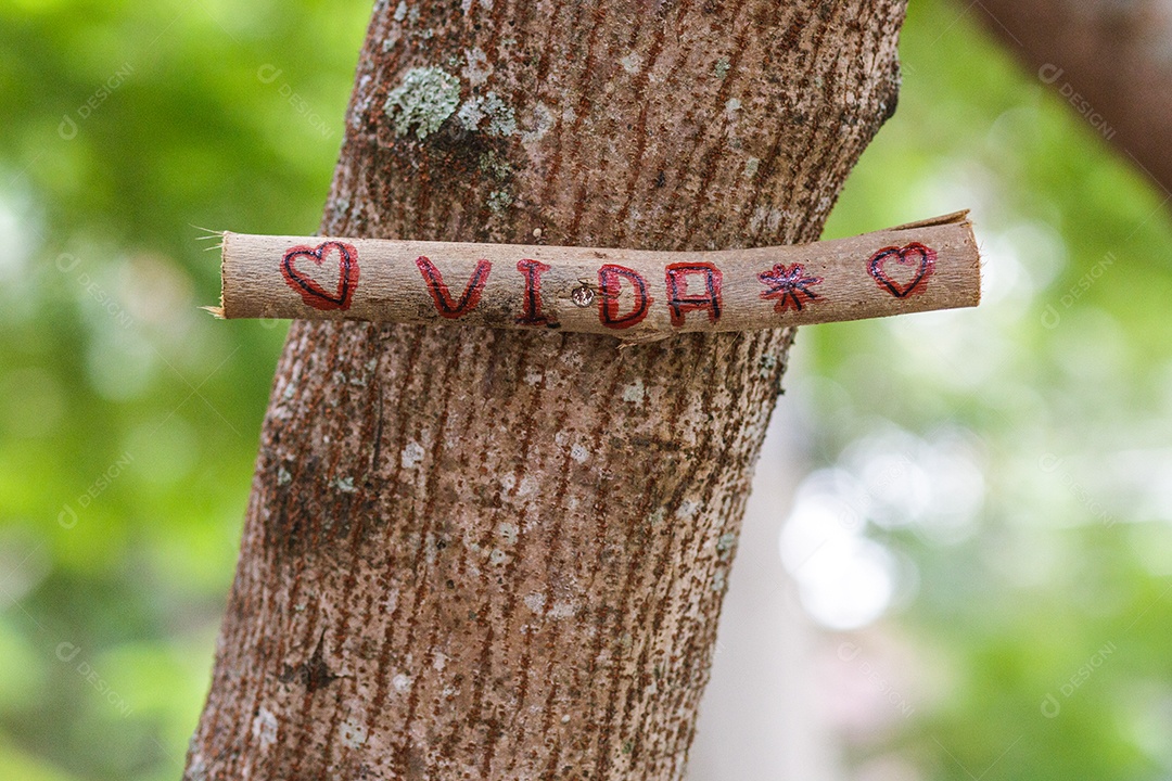placa presa em uma árvore escrita (vida) do Rio de Janeiro.