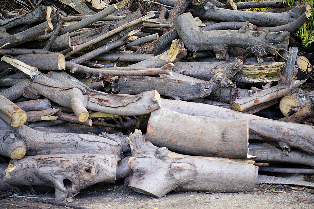 A imagem de um tronco usado para fazer fogo