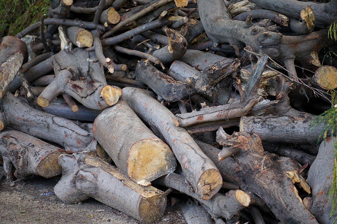 A imagem de um tronco usado para fazer fogo