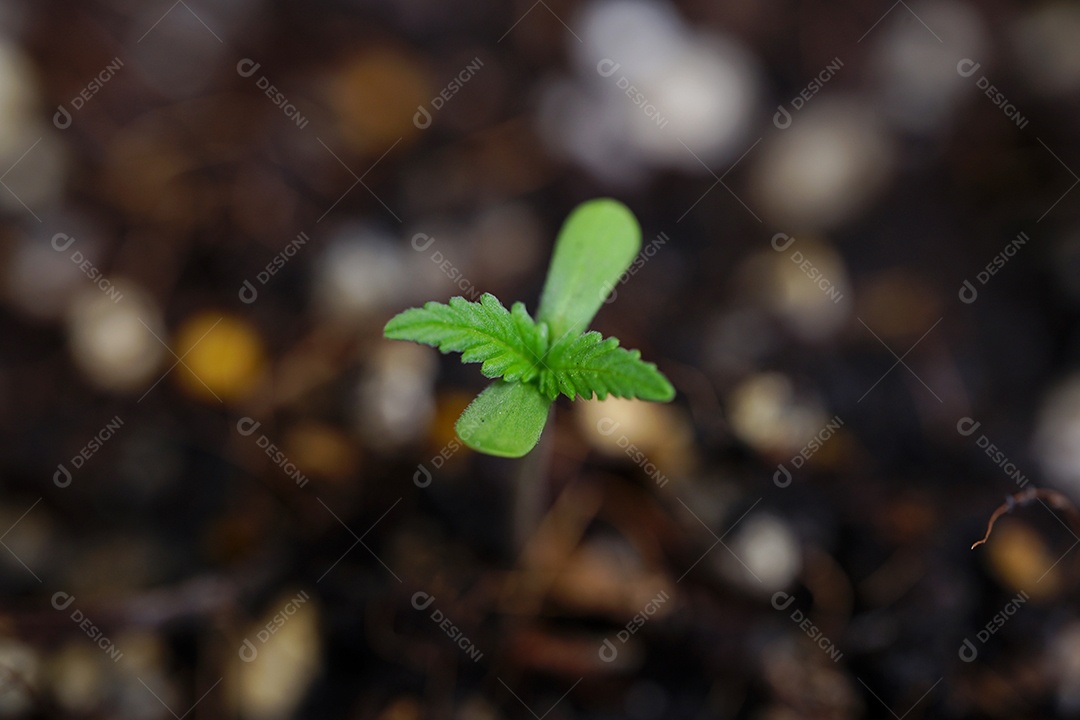 Foto de água espalhada em um copo