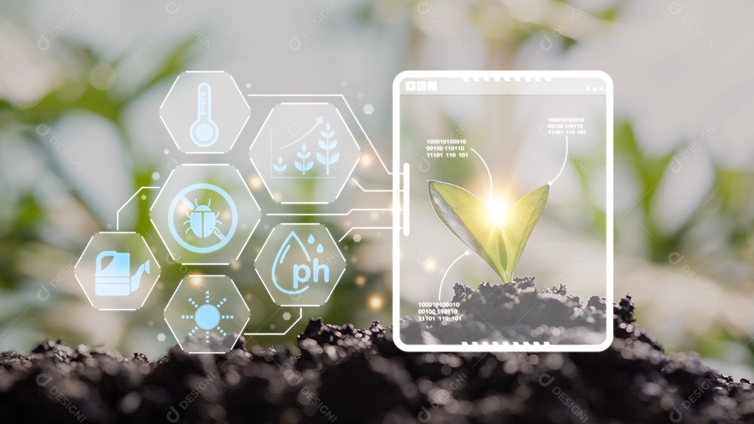 Cultivo de mudas de milho jovens em fazendas agrícolas cultivadas