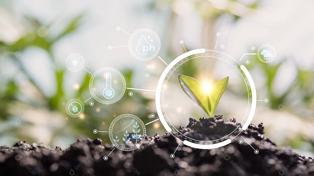 Cultivo de mudas de milho jovens em fazendas agrícolas cultivadas