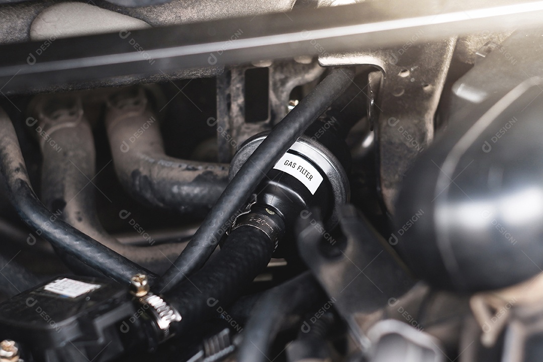 Filtro de combustível a gás com um tubo de borracha do sistema de combustível a gás do carro