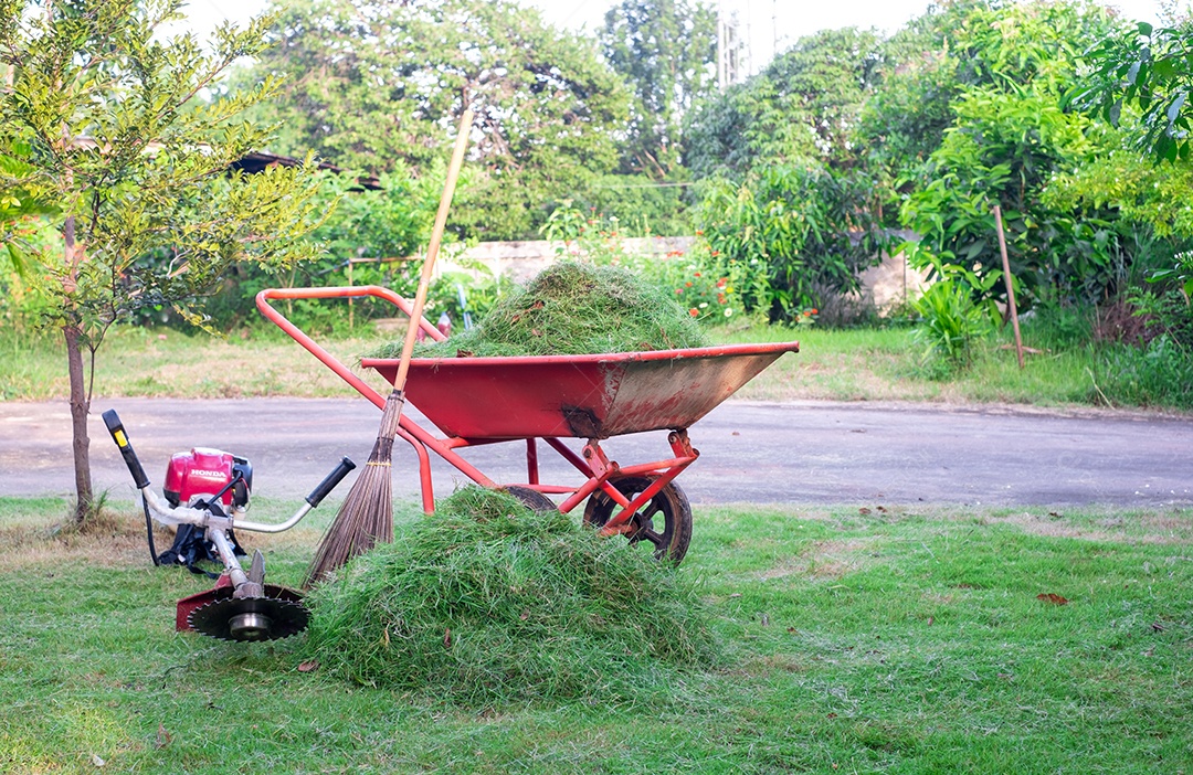 Carrinho laranja está embalando grama verde cortada no jardim da frente