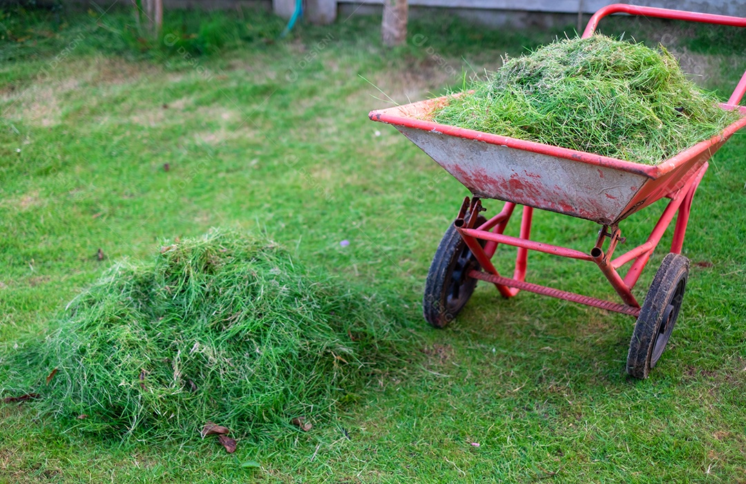 Carrinho laranja está embalando grama verde cortada no jardim da frente