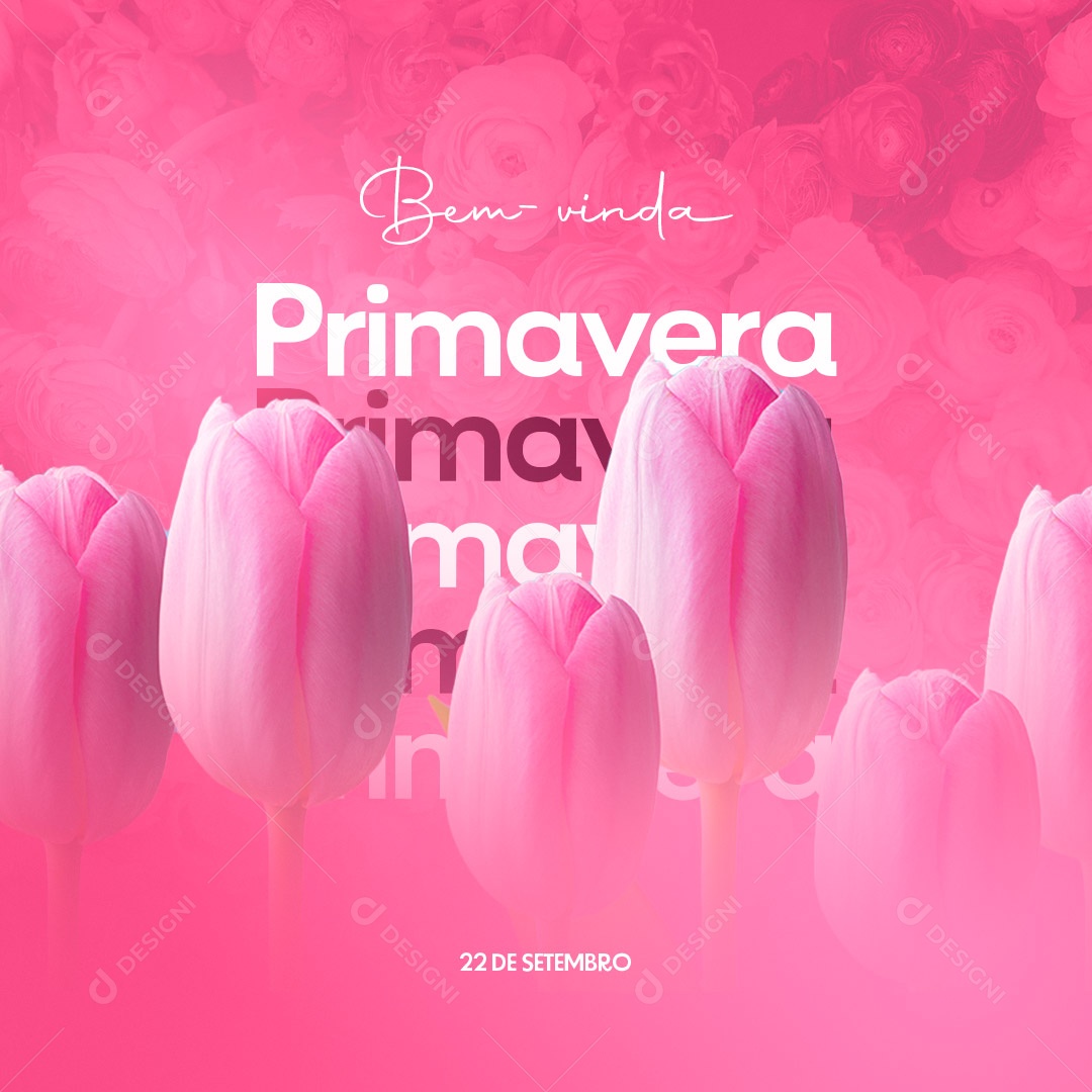 Bem Vinda Primavera 22 de Setembro Social Media PSD Editável