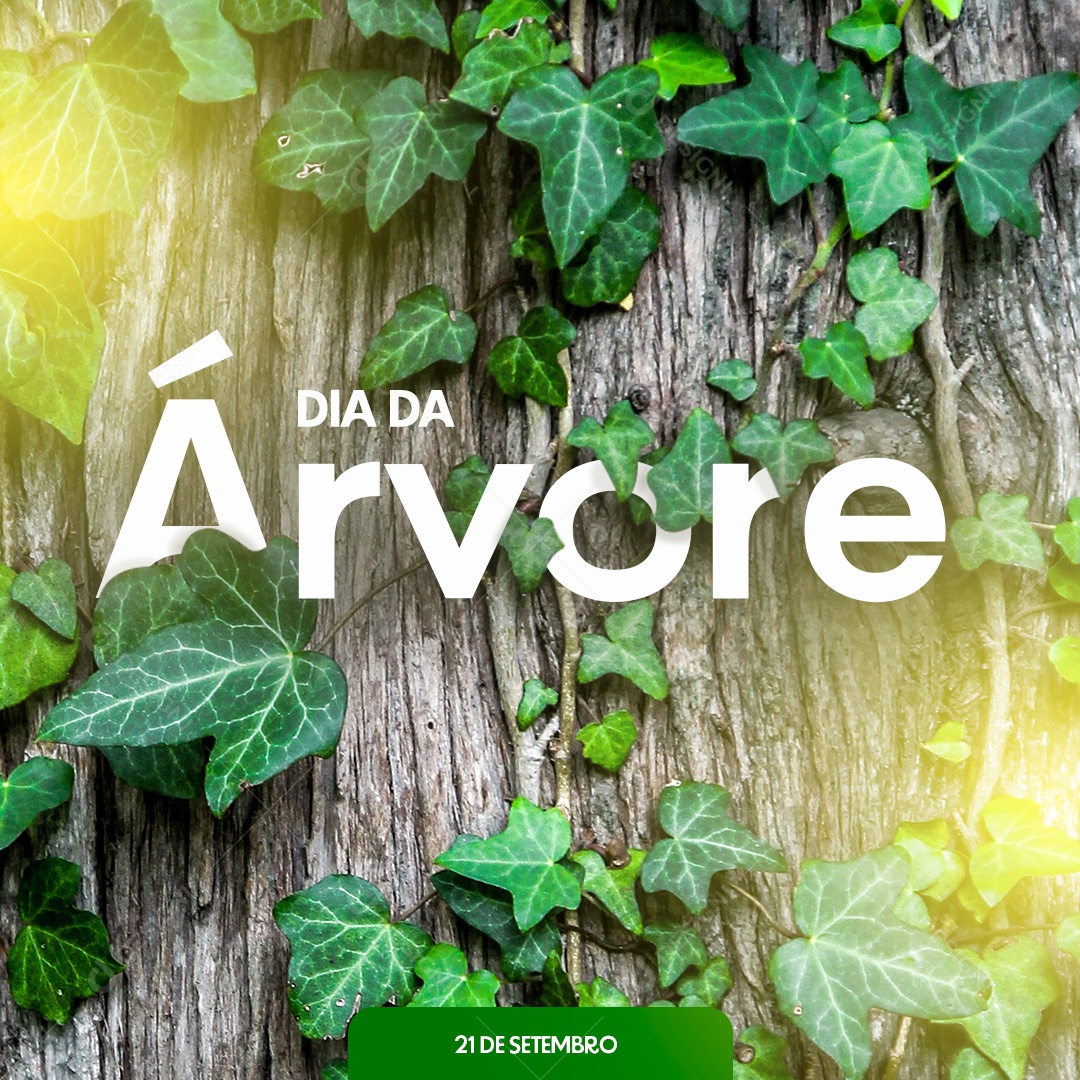 Social Media Dia da Árvore 21 de Setembro PSD Editável