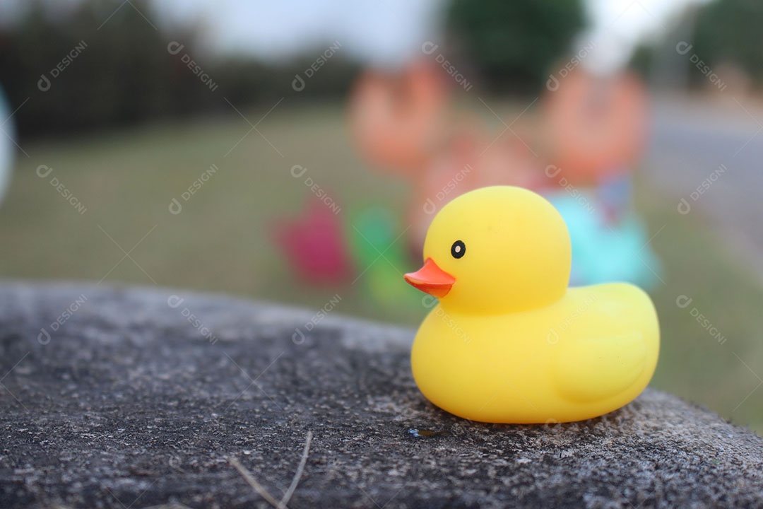 Imagem de patinho de borracha sobre a rocha