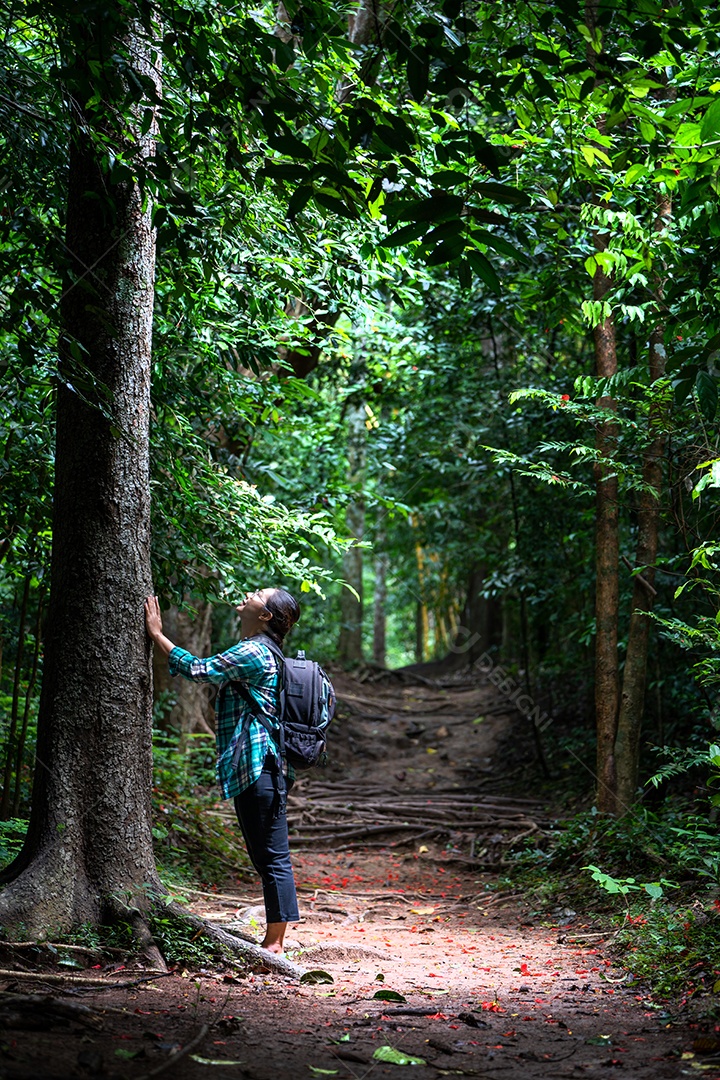 Mulher com mochila explorando a bela floresta tropical em Sub madue Petchabun Tailândia. Conceito de viagens e ecoturismo