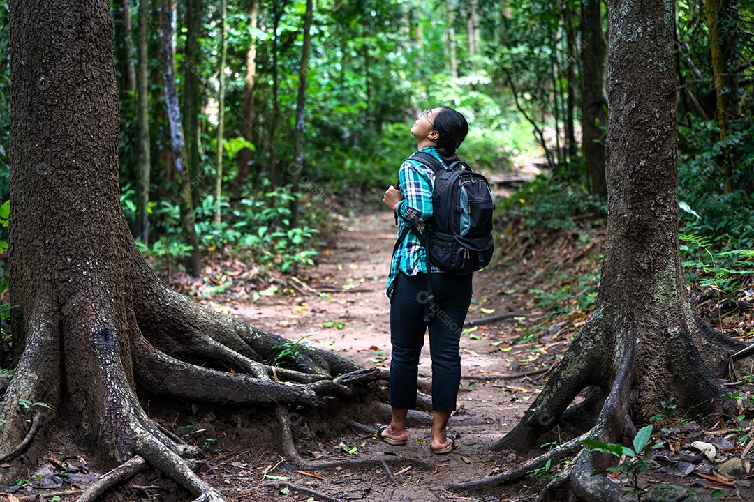 Mulher com mochila explorando a bela floresta tropical em Sub madue Petchabun Tailândia. Conceito de viagens e ecoturismo