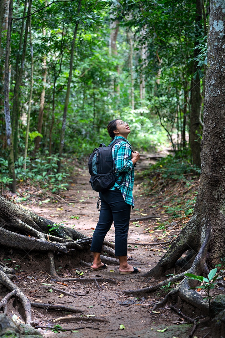 Mulher com mochila explorando a bela floresta tropical em Sub madue Petchabun Tailândia. Conceito de viagens e ecoturismo