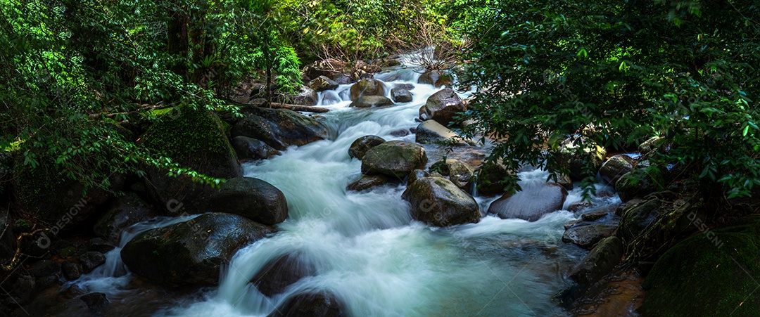 bela cachoeira de córrego natural e floresta verde no conceito de montanha viajando e relaxando no tempo de férias.