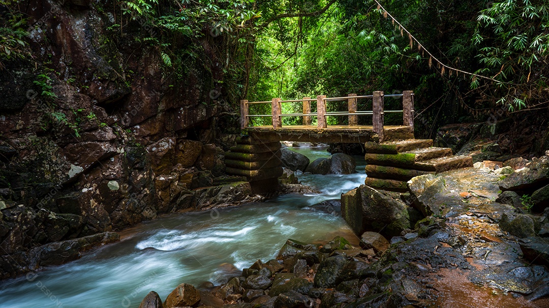 Ponte velha sobre a cachoeira natural e a floresta verde no