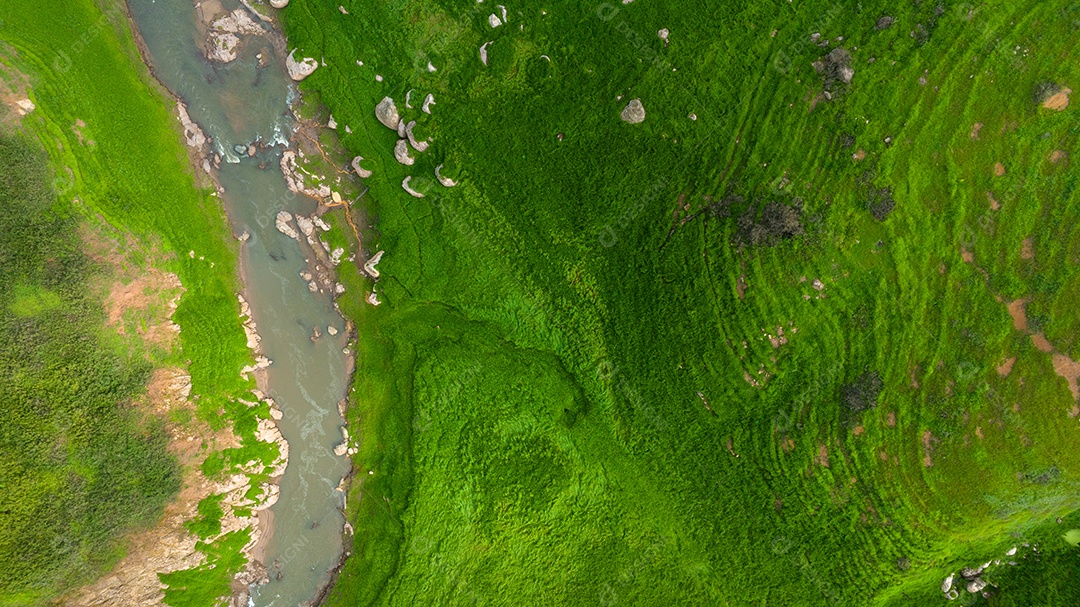 Vista aérea do belo córrego de água natural e campo verde