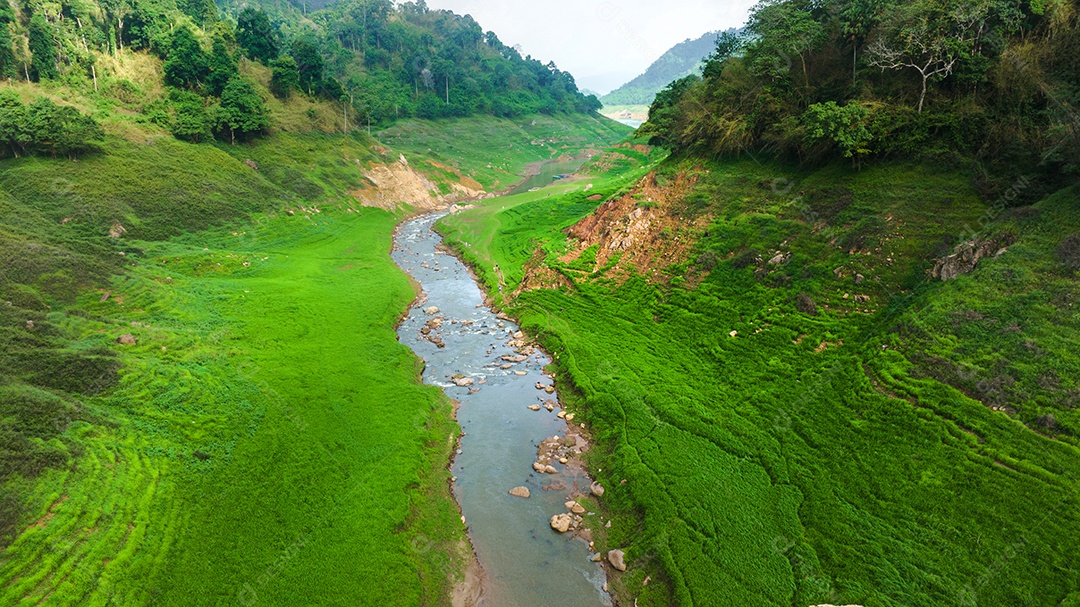 Vista aérea do belo córrego de água natural e campo verde