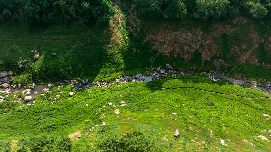 Vista aérea do belo campo verde natural da floresta na montanha da floresta selvagem, conceito de ar fresco natural