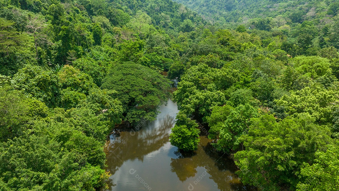 Vista aérea do belo campo verde natural da floresta