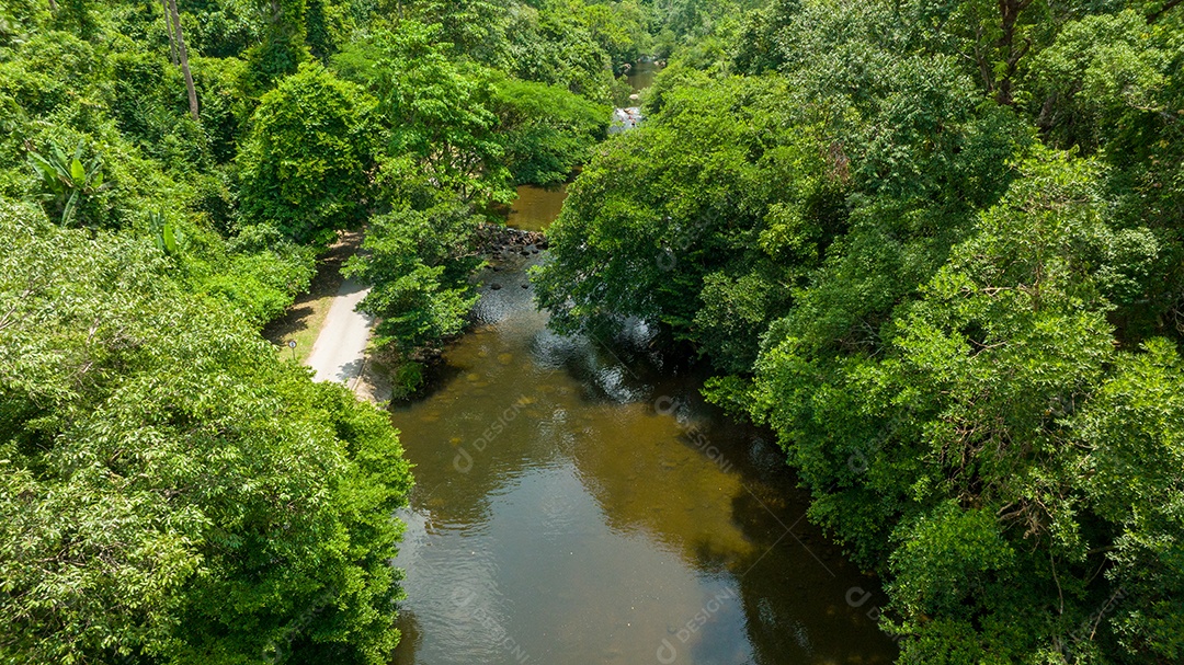 Vista aérea do belo campo verde natural da floresta