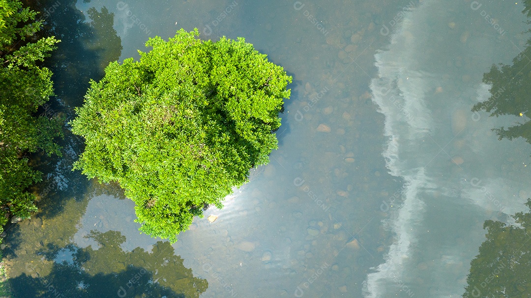 Vista aérea do belo campo verde natural da floresta