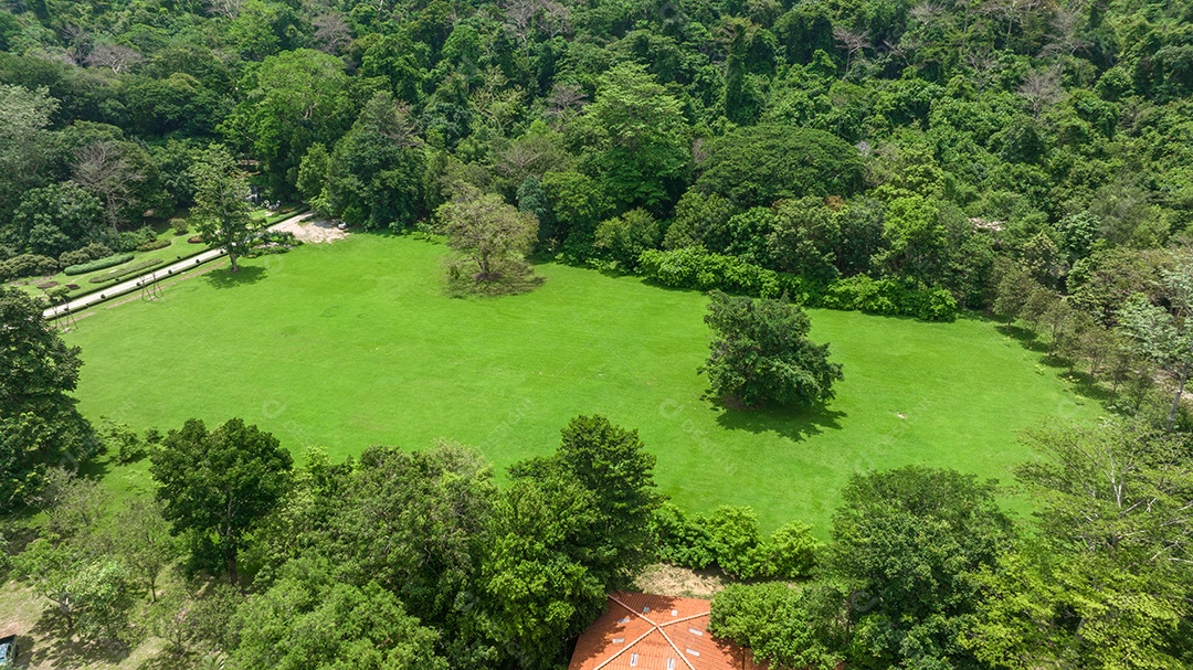 Vista aérea do belo campo verde natural de grama