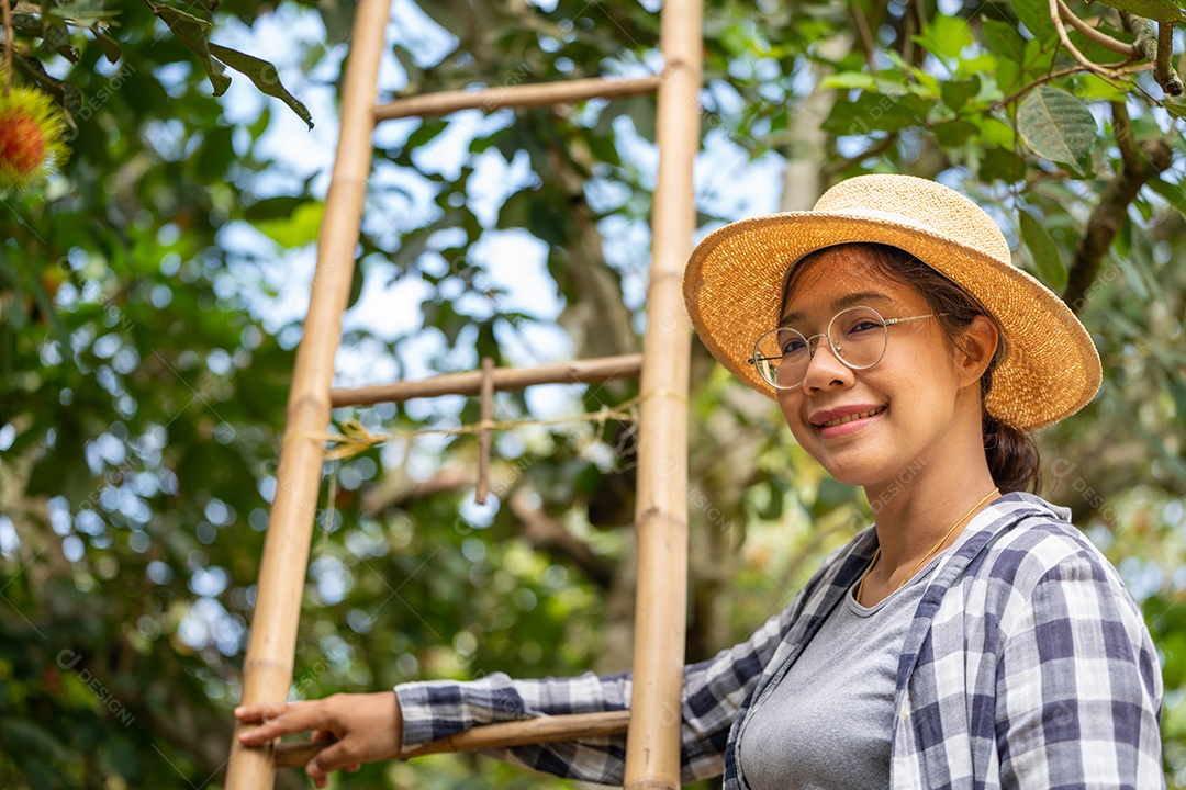 Colheita por mulher inteligente agricultora de frutas orgânicas.