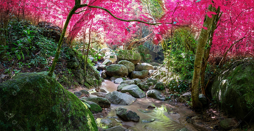 Belas folhas naturais de árvore e folha e floresta verde de fluxo.