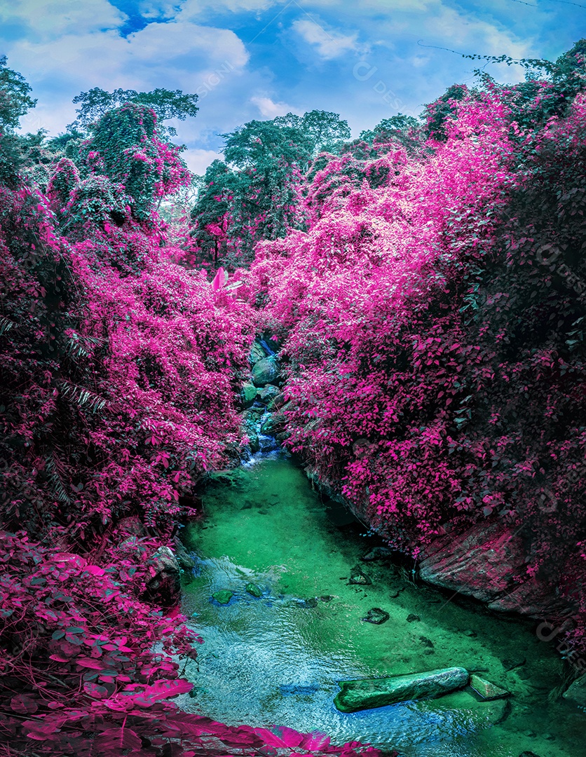 Belas folhas naturais de árvore e folha e floresta verde de fluxo.