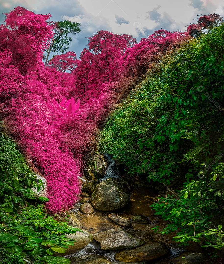 Belas folhas naturais de árvore e folha e floresta verde de fluxo.