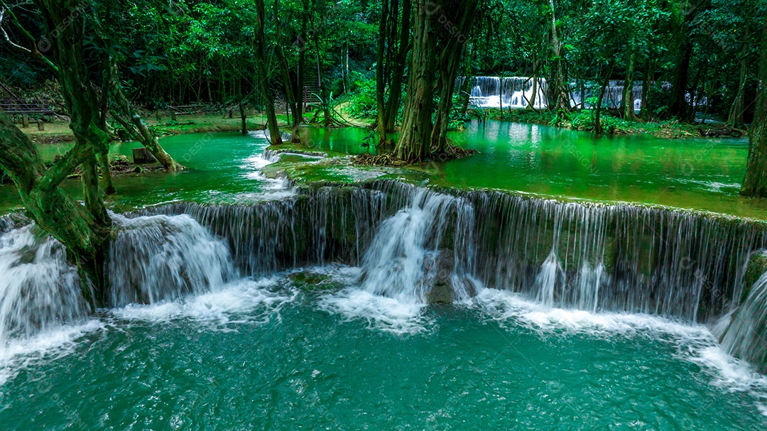 Bela queda de água e folhas naturais de folha e córrego verde.