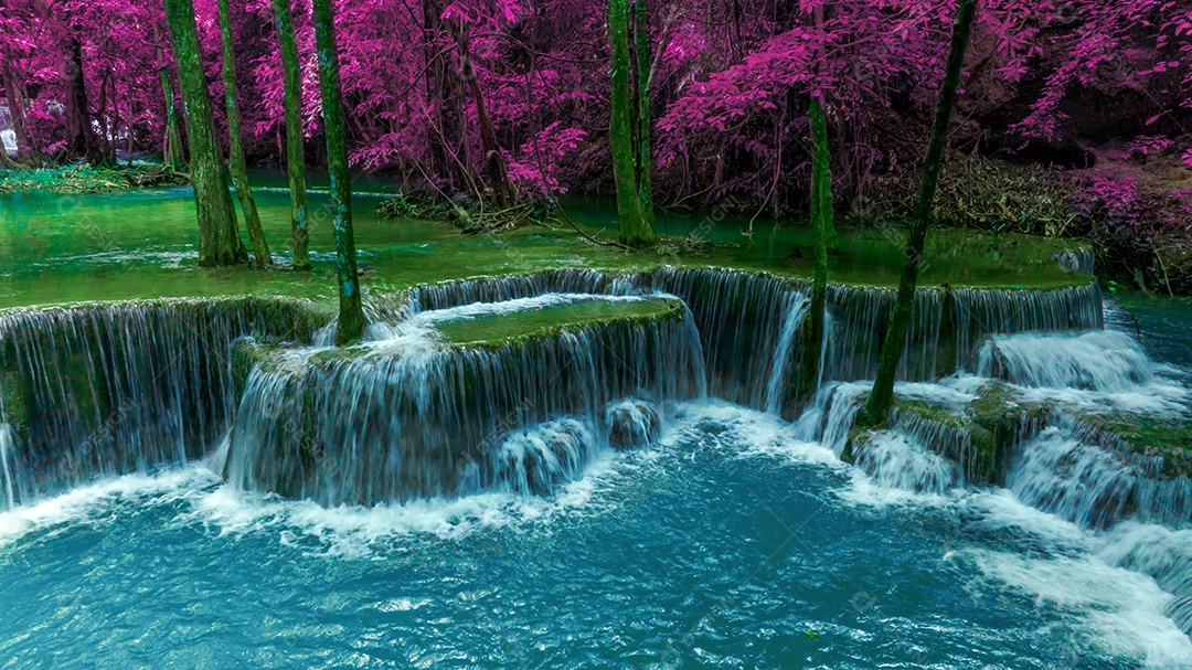 Bela queda de água e folhas naturais de folha e córrego verde.