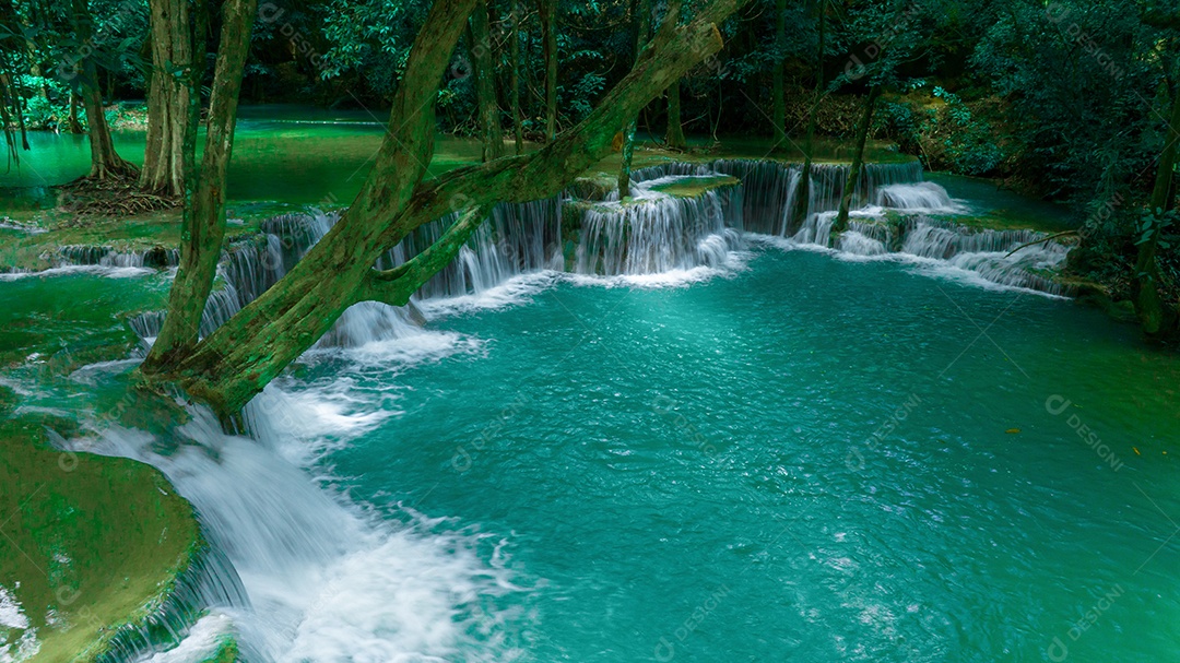 Bela queda de água e folhas naturais de folha e córrego verde.