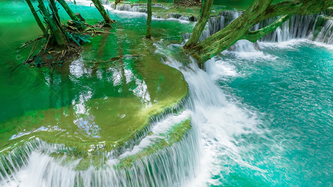 Bela queda de água e folhas naturais de folha e córrego verde.