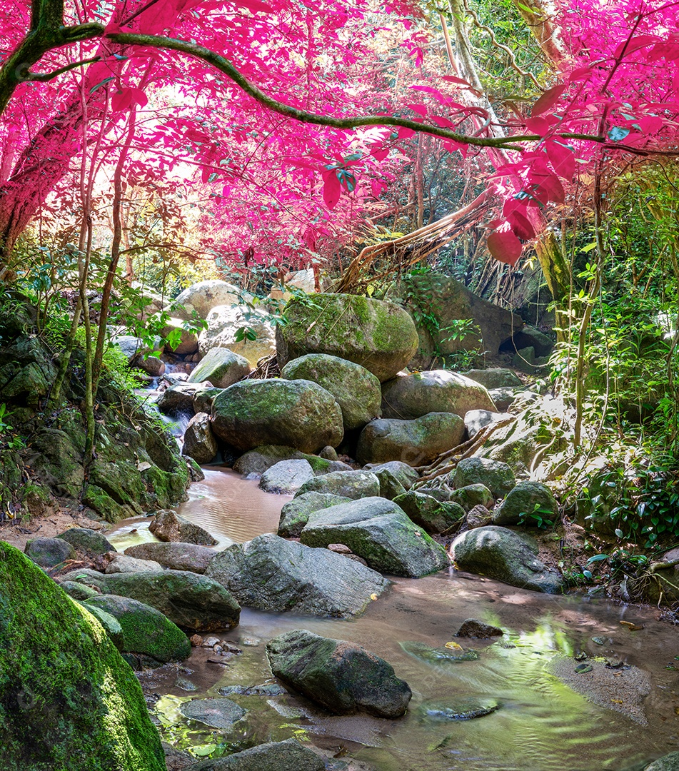 Belas folhas naturais de árvore e folha e floresta verde de fluxo.