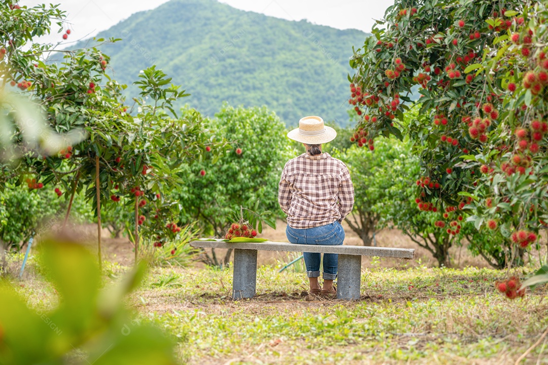 Colheita por mulher inteligente agricultora de frutas orgânicas.