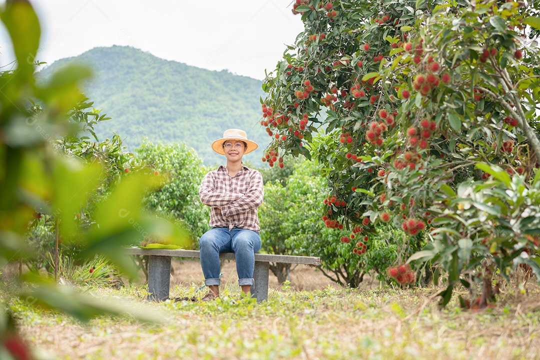 Colheita por mulher inteligente agricultora de frutas orgânicas.