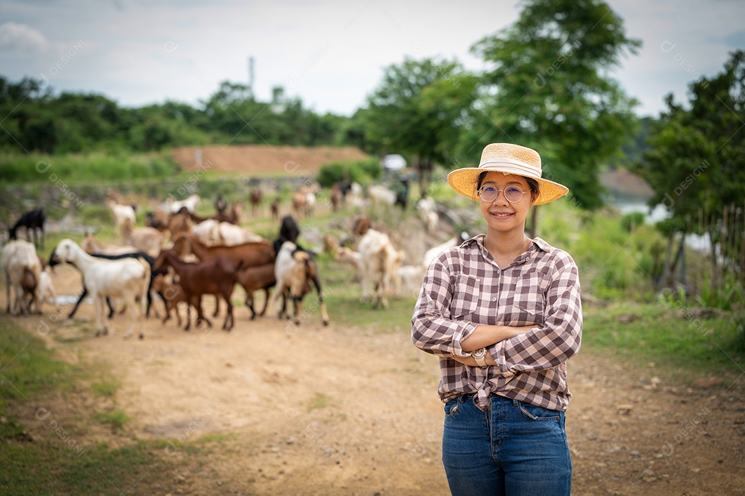 Mulher trabalhadora posando em uma fazenda de gado leiteiro de cabras ao ar livre, uma fazenda.