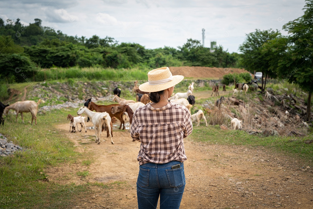 Mulher trabalhadora posando em uma fazenda de gado leiteiro de cabras ao ar livre, uma fazenda.
