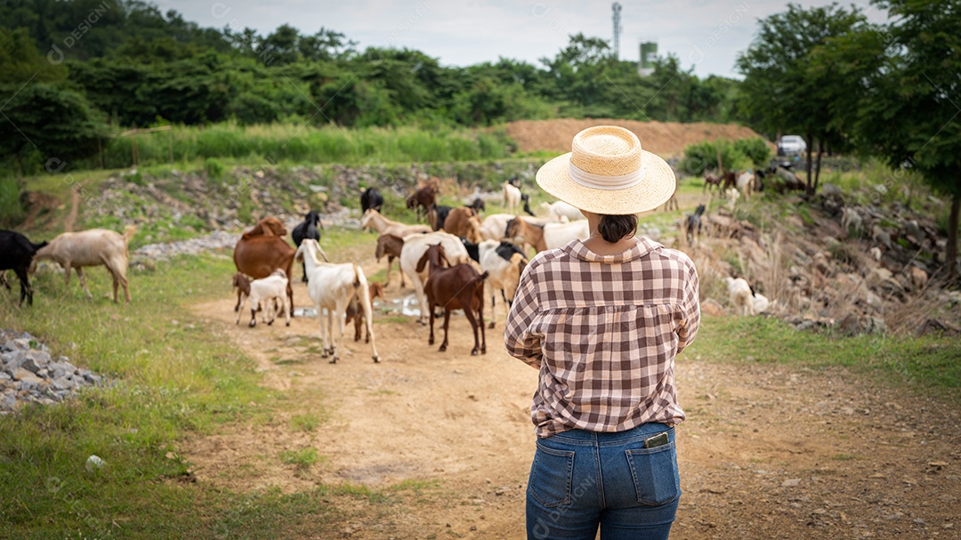 Mulher trabalhadora posando em uma fazenda de gado leiteiro de cabras ao ar livre, uma fazenda.