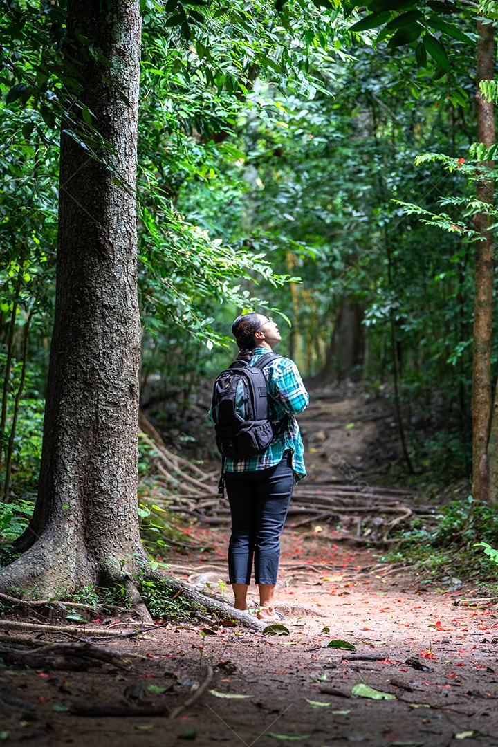 Mulher com mochila explorando a bela floresta tropical.