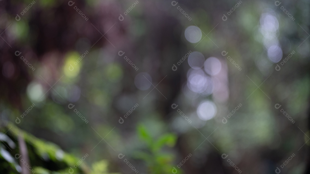 Natureza verde bokeh terra de volta.