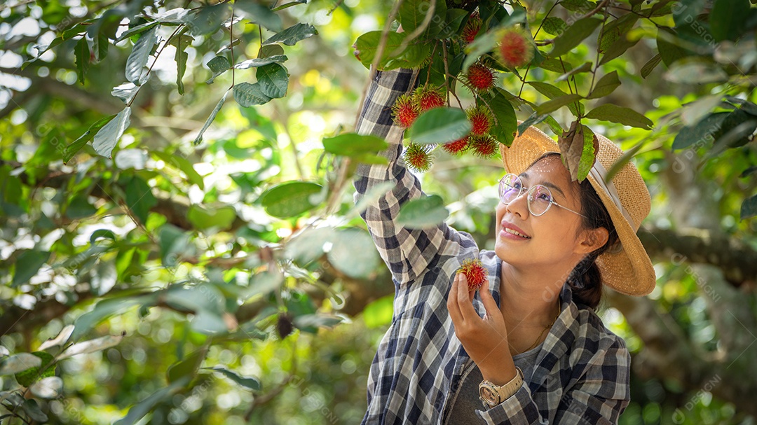 Mulher agricultora em pé no velho trator para colheita de frutas.