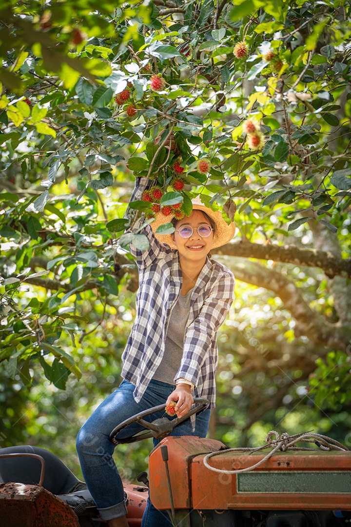 Mulher agricultora em pé no velho trator para colheita de frutas.