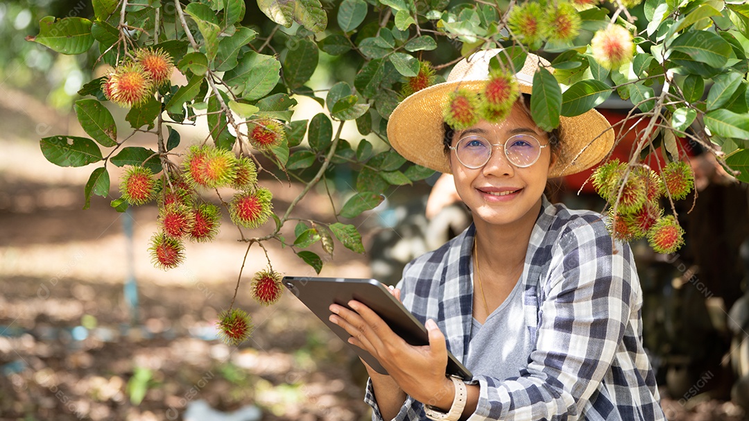 Mulher agricultora da Ásia agricultor de frutas agricultor verificando a qualidade do produto.