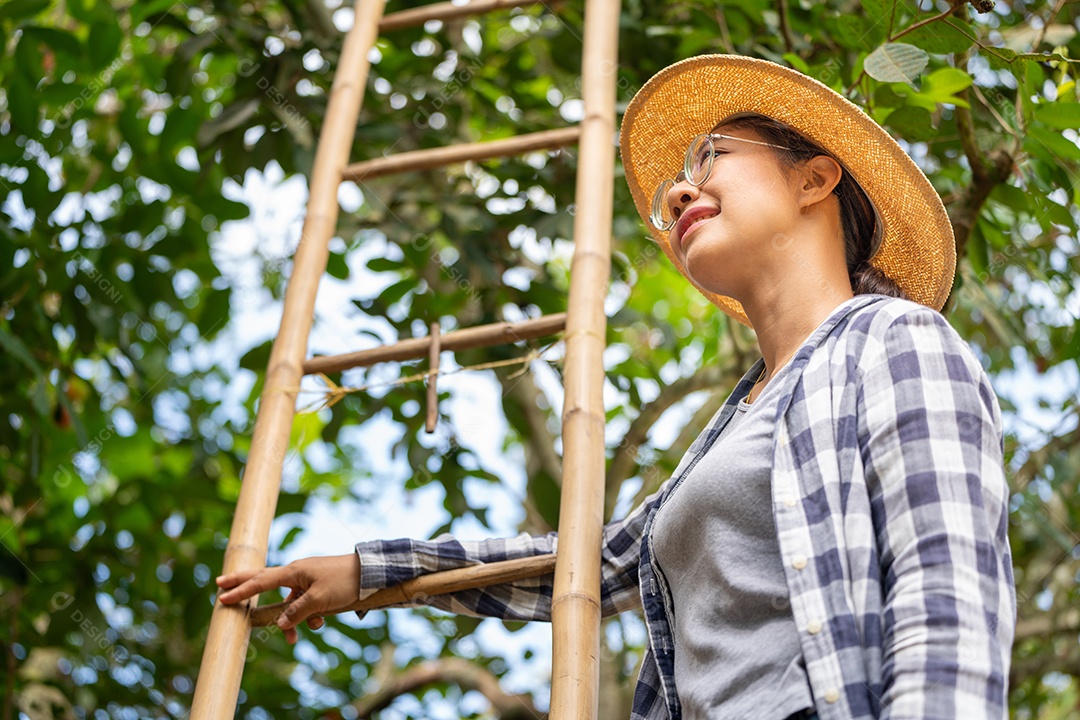 Colheita por mulher inteligente agricultora em frutas orgânicas.