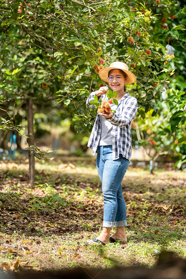 Colheita de mulher inteligente, agricultora em frutas orgânicas.