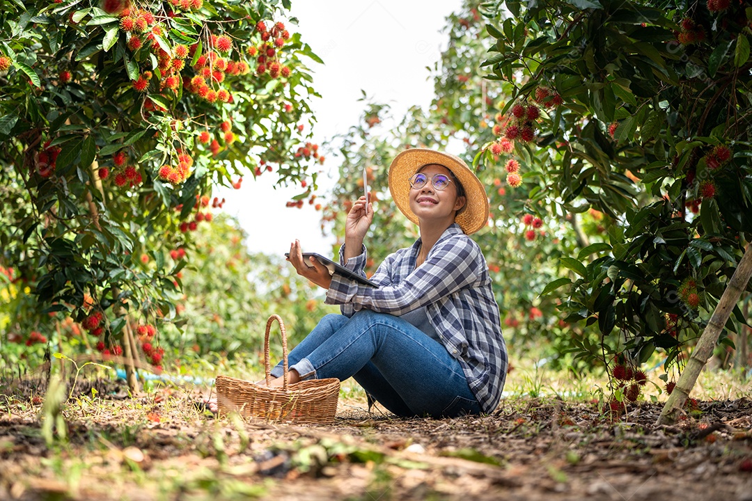 Mulher agricultora da Ásia Agricultor de frutas Agricultor verificando a qualidade do produto.
