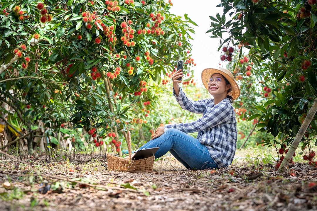 Mulher agricultora da Ásia Agricultor de frutas Agricultor verificando a qualidade do produto.