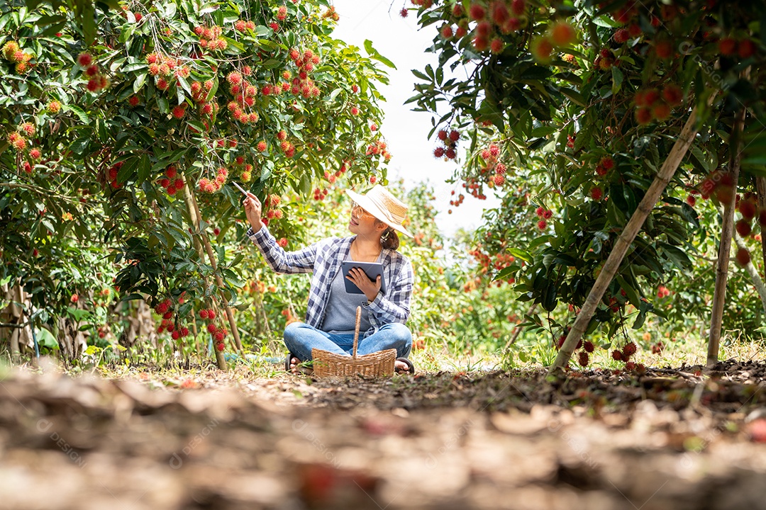 Farmer tired when working with Tablet to check.
