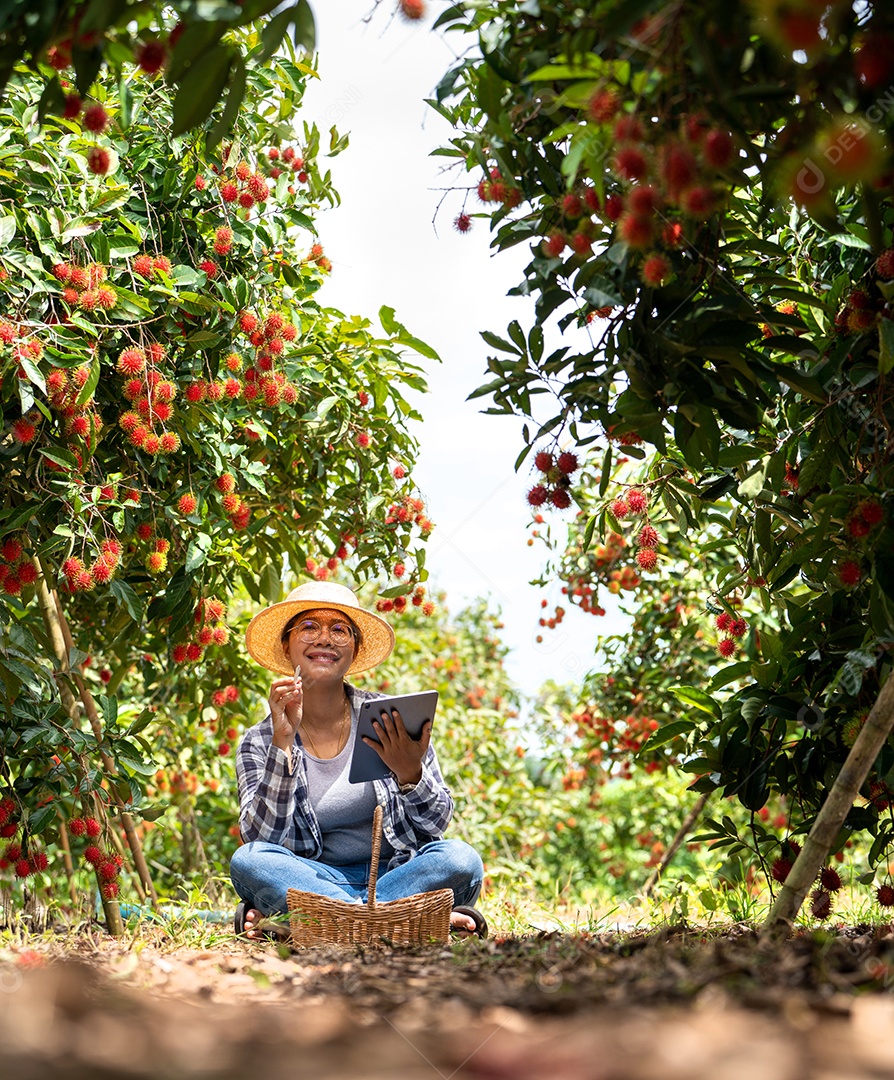 Agricultora cansada quando trabalha com Tablet para verificar.