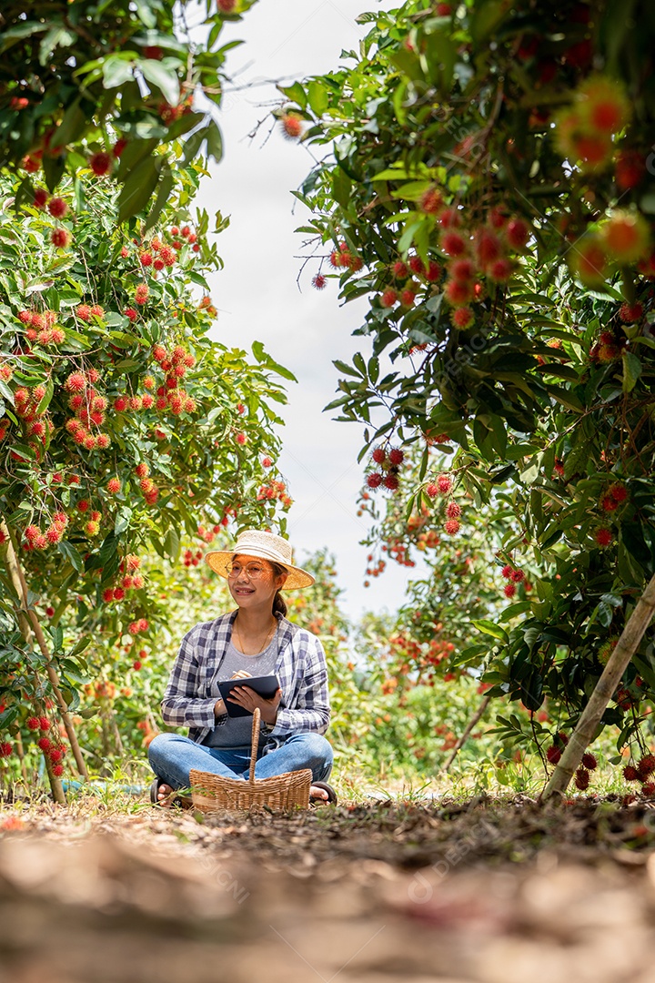 Agricultora cansada quando trabalha com Tablet para verificar.